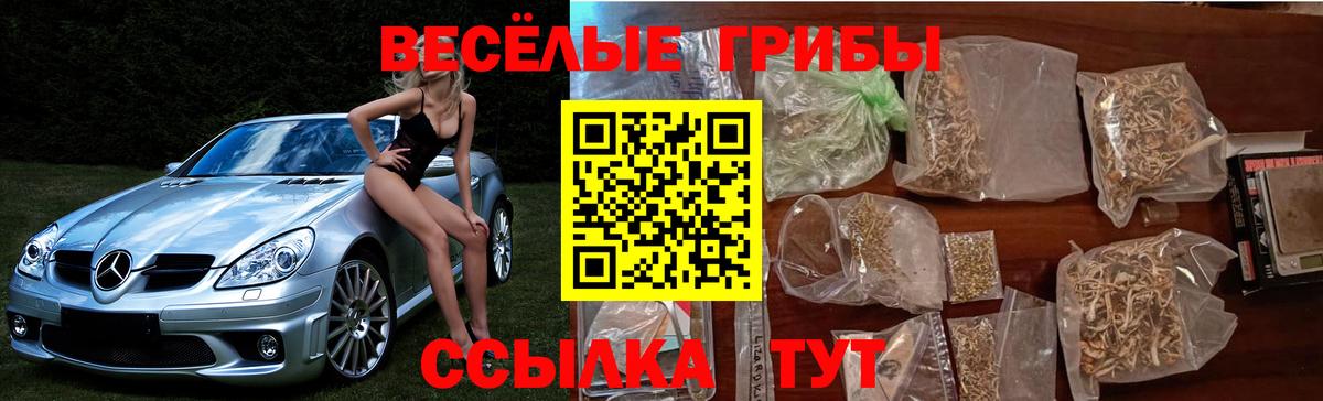 Псилоцибиновые грибы Magic Shrooms  купить наркотик  Кирово-Чепецк  Вход с VPN 